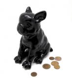 bull dog :: #